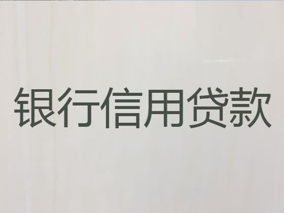 平阳贷款正规公司